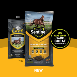 Sentinel Immune Support Transition Shelf Card Sentinel Immune Support Transition Shelf Card