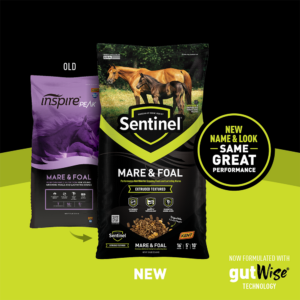 Sentinel Mare & Foal Transition Shelf Card Sentinel Mare & Foal Transition Shelf Card