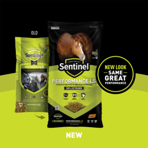 Sentinel Performance LS Transition Shelf Card Sentinel Performance LS Transition Shelf Card