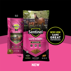 Sentinel Safe Start Transition Shelf Card Sentinel Safe Start Transition Shelf Card