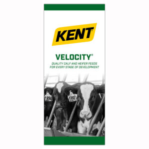 Velocity Brochure