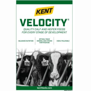 Velocity Poster