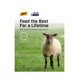 Kent Zinpro Performance Sheep Brochure