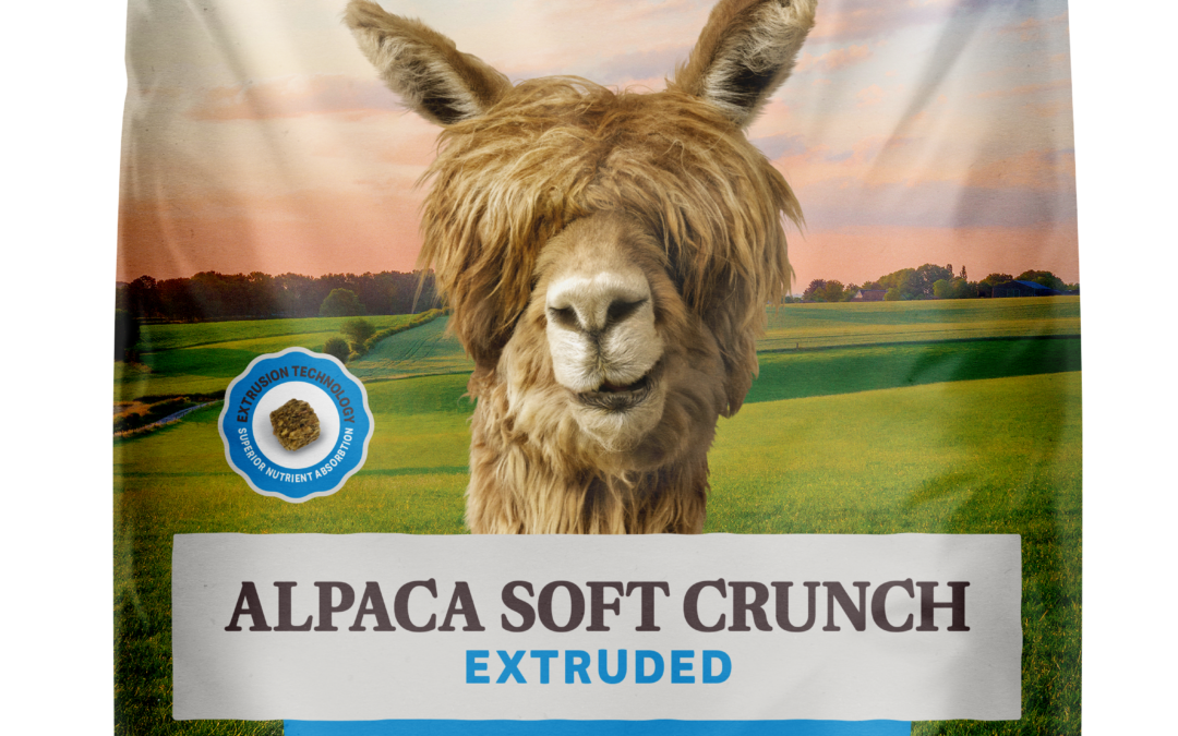 NEW Home Fresh Alpaca Soft Crunch