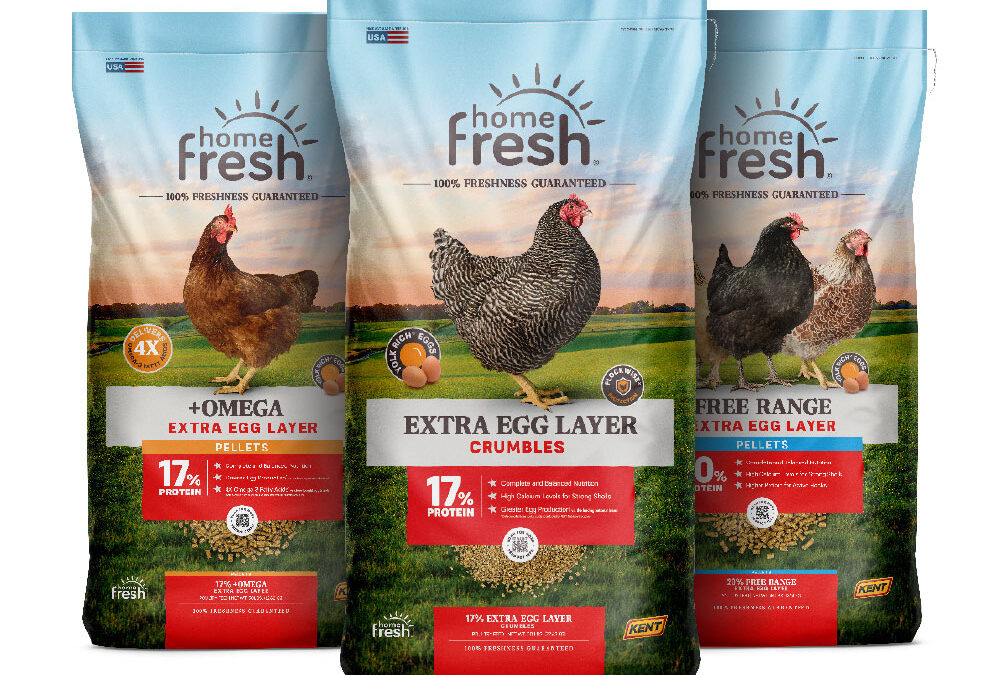 Coming in June: We Put The Extra In Egg!
