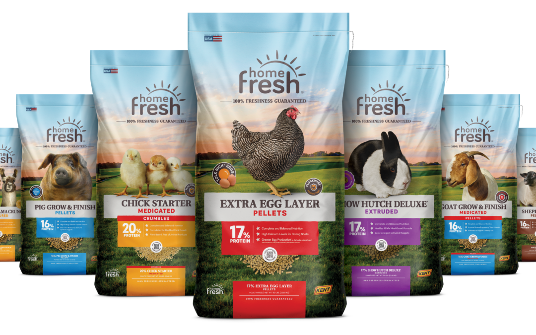 Home Fresh® Refresh Is Complete!
