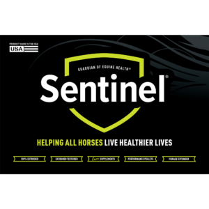 Sentinel Product Segments Header Panel