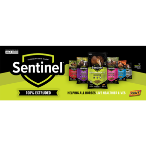 Sentinel 100% Extruded Banner (8ft x 3ft)