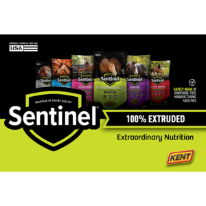 Sentinel 100% Extruded Header Panel