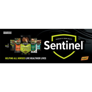 Sentinel Full-Line Banner (8ft x 3ft)