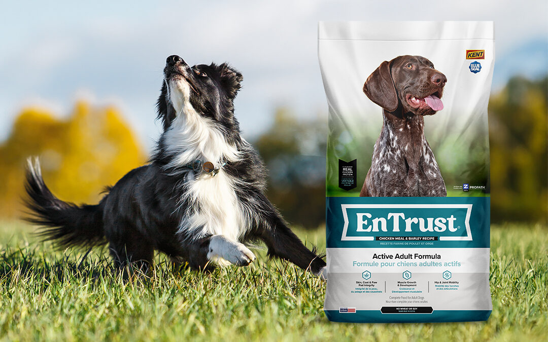 EnTrust Pet Foods Spotlight – Active Adult Formula: Chicken Meal & Barley Recipe