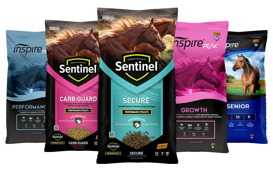Coming in July: Pellet Palooza