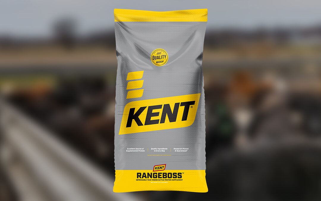 Exact Beef Promotion