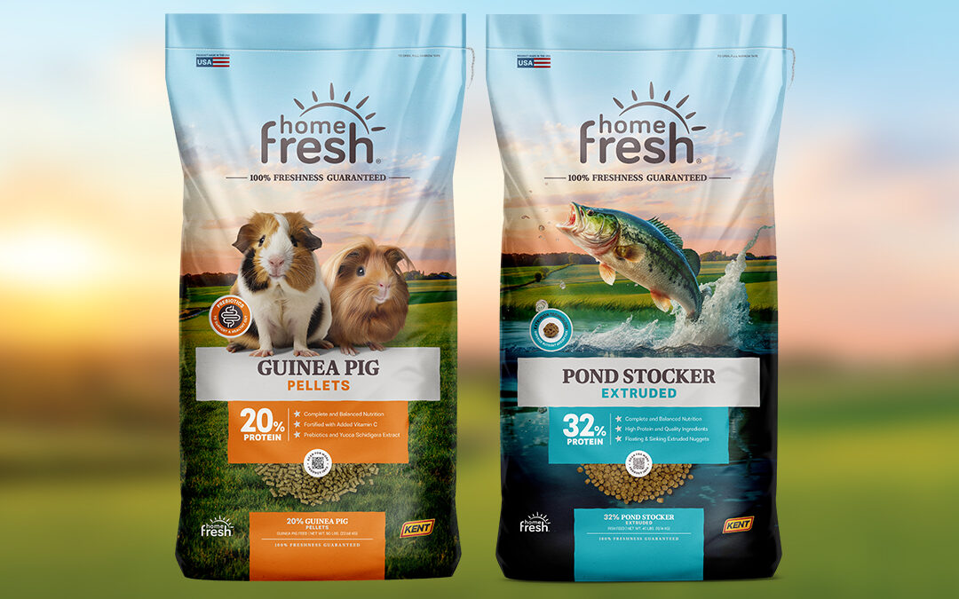 Coming Soon! Home Fresh Pond Stocker and Guinea Pig