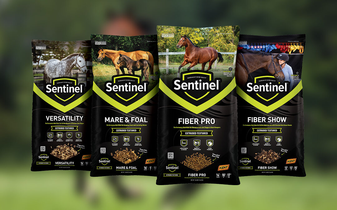 Saddle Up With Sentinel
