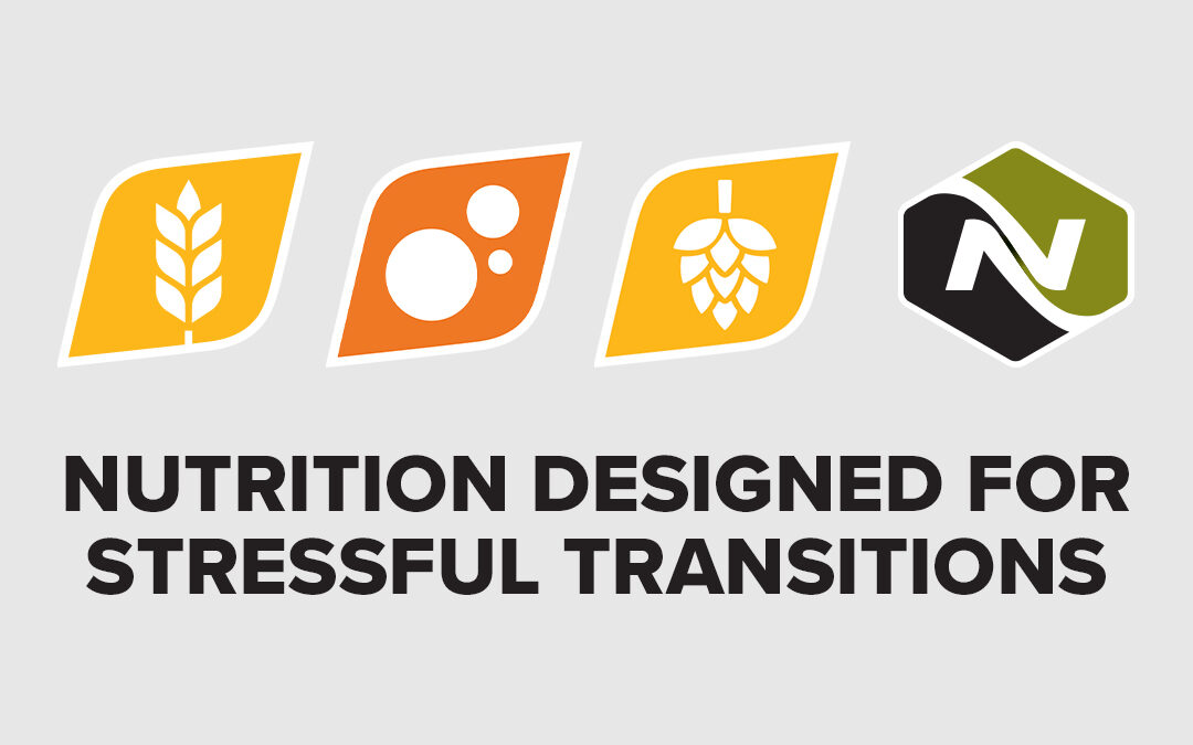 Beef Product Spotlight: Nutrition Designed for Stressful Transitions
