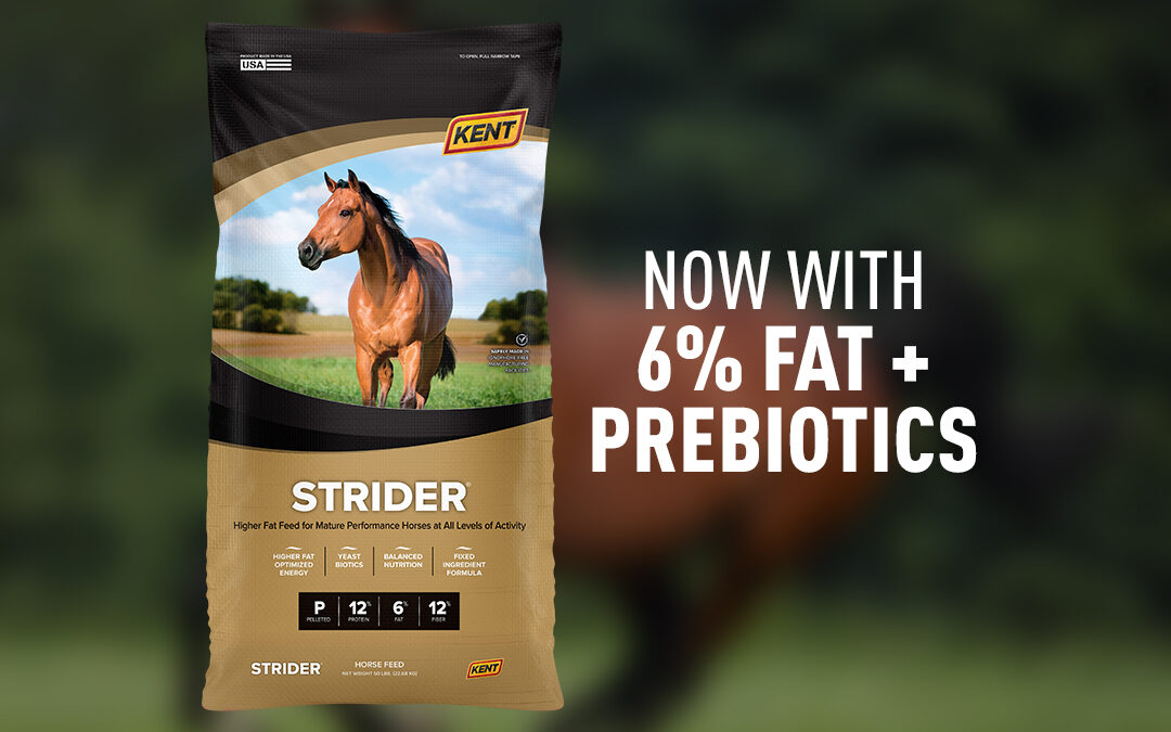 New & Improved Strider: Added Fat, Added Digestive Support