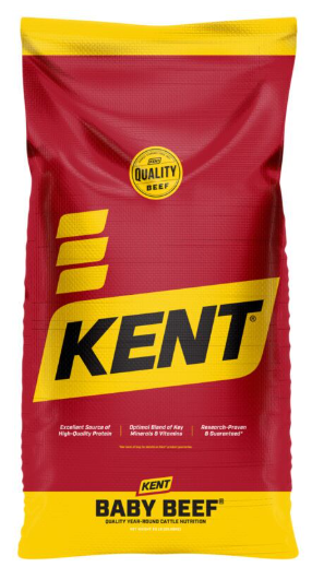 Kent Baby Beef