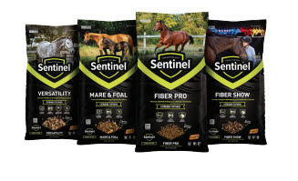 Coming in August: Saddle Up With Sentinel