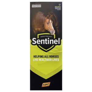 Sentinel Pull-Up Display Sentinel Pull-Up Display