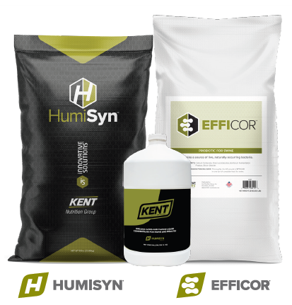 Save On Summer Swine Heat Relief