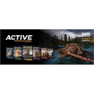Active Large Banner