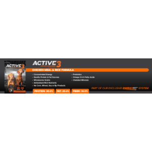 Active Level 3 Shelf Talker