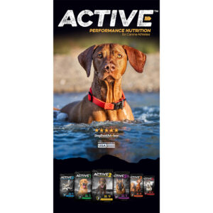 Active Vertical Banner