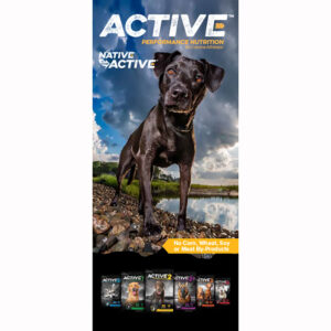 Active Brochure