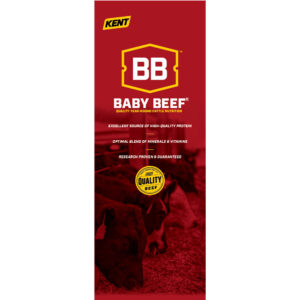 Baby Beef Pull Up Display