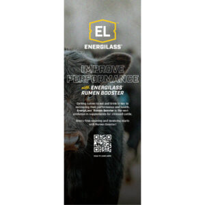 Energilass Rumen Booster Pull Up Display