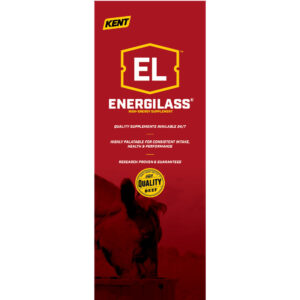 Energilass Pull Up Display