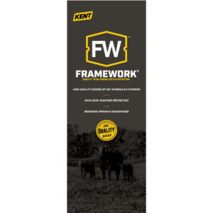 Framework Pull Up Display