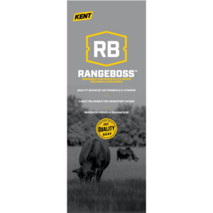 RangeBoss Pull Up Display