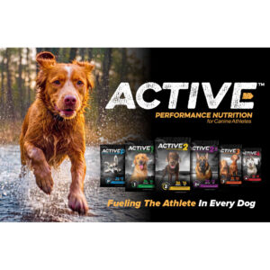 Active Counter Mat Insert