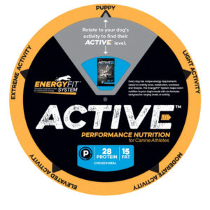 Active EnergyFit Wheel
