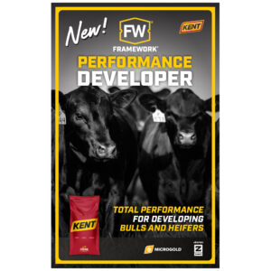 Framework Performance Developer Poster