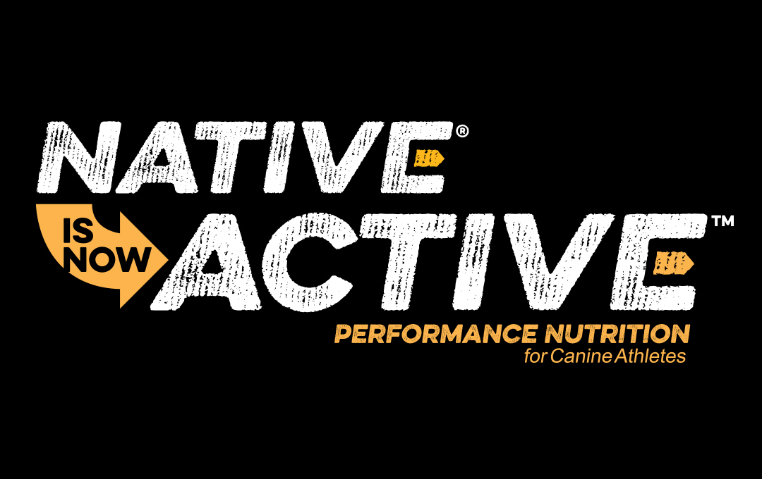 Native is Now Active!