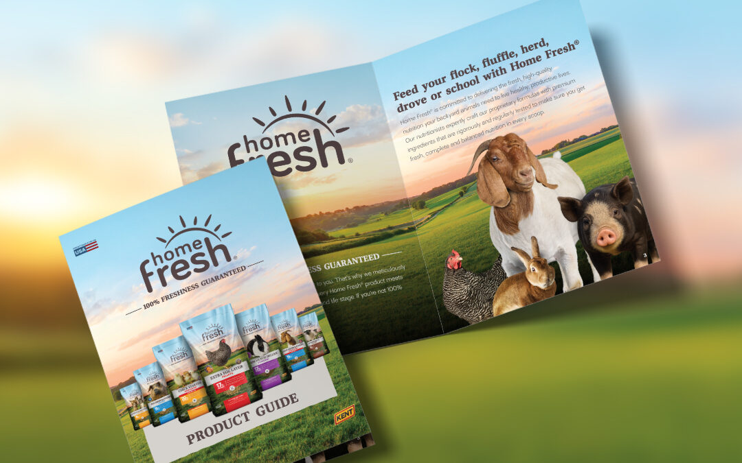 Home Fresh Refresh: New Materials & Updates
