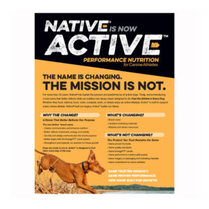 Active Transition Overview Sheet