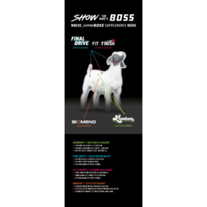 ShowBoss Goat ‘Where They Work’ Pull Up Display