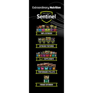 Sentinel 5 Segments Pull-Up Display