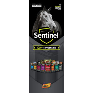 Sentinel Care Pull-Up Display
