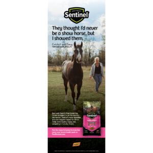 Sentinel Safe Start/Cricket Pull-Up Display