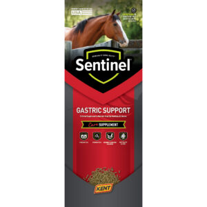 Sentinel Gastric Support Pull-Up Display