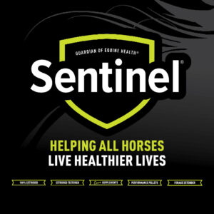 Sentinel Lightbox Display