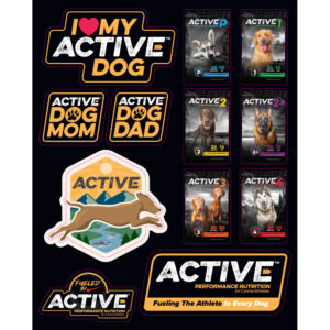 Active Sticker Sheet
