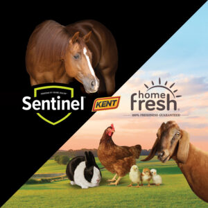 Sentinel /Home Fresh Lightbox Display Sentinel /Home Fresh Lightbox Display